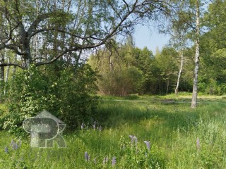 Купить землю, №385790