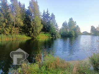 Купить землю, №384430