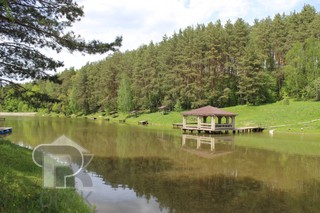 Купить землю, №384645