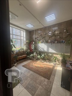 Купить студию, №386404