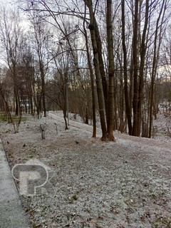 Купить 2-комнатную квартиру, №371049
