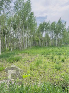 Купить землю, №380982
