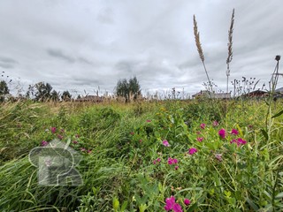 Купить землю, №386098