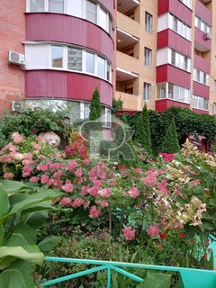 Купить 1-комнатную квартиру, №386759