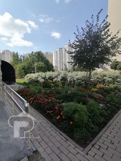 Купить 2-комнатную квартиру, №390999