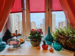 Купить 2-комнатную квартиру, №387229