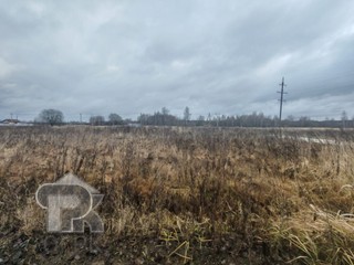 Купить землю, №387828