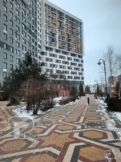 Купить студию, №388581