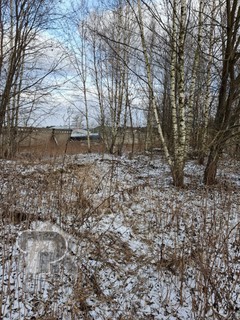 Купить землю, №386199
