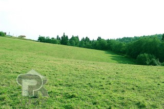 Купить землю, №390667
