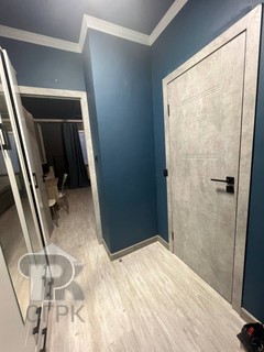 Купить студию, №387722