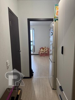 Купить студию, №387117