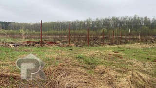 Купить землю, №386201