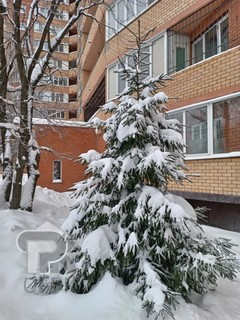 Купить 1-комнатную квартиру, №388206