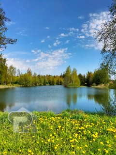 Купить землю, №384429