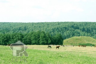 Купить землю, №390667