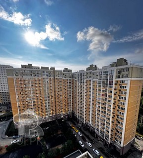 Купить студию, №391226