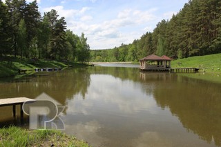 Купить землю, №384645