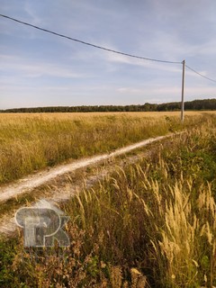 Купить землю, №386456