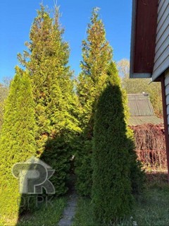 Купить дом, №389023