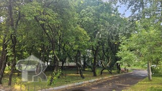 Купить 1-комнатную квартиру, №390372