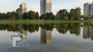 Купить 1-комнатную квартиру, №385238