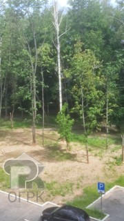 Купить 3-комнатную квартиру, №386075