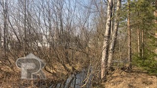 Купить землю, №384749