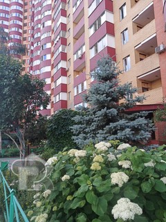 Купить студию, №390630