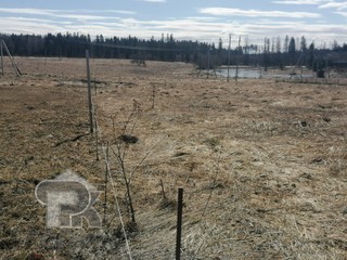 Купить землю, №353607