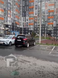 Купить студию, №386934