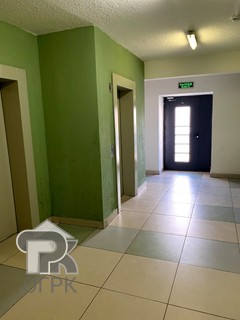 Купить студию, №388064