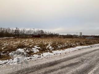 Купить землю, №387871