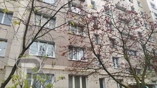 Купить 3-комнатную квартиру, №387300