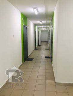Купить студию, №385256