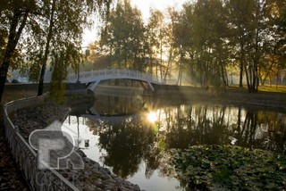 Купить землю, №354055