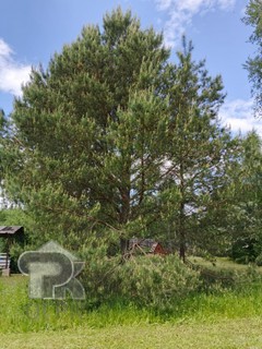 Купить дом, №385108