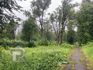 Купить землю, №384981