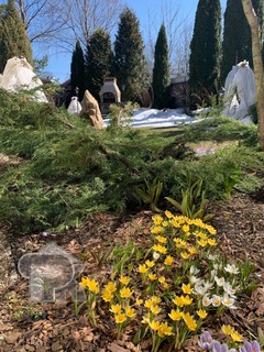 Купить коттедж, №388289