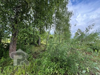 Купить землю, №390482