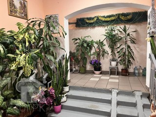 Купить 1-комнатную квартиру, №370729