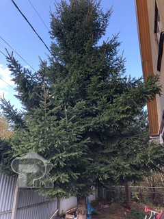 Купить дом, №387772