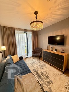 Купить студию, №387485