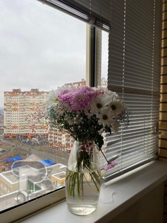 Купить 1-комнатную квартиру, №372982
