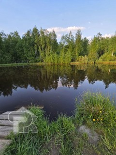 Купить землю, №388949