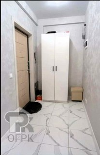 Купить студию, №389937