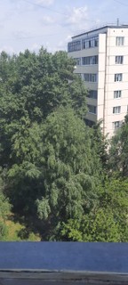 Купить 1-комнатную квартиру, №338885