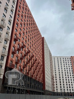 Купить студию, №384790
