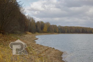 Купить землю, №387313