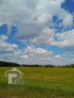 Купить землю, №386456